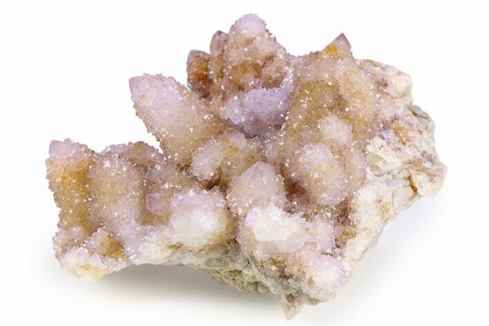 Sparkling Cactus Amethyst Crystal Cluster - South Africa #382313